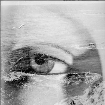 the eye